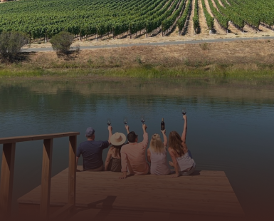 View of Private Vineyard Tours & Concierge Services in Wine Country